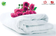 Load image into Gallery viewer, Novelty Bath Towel (22" X 44")